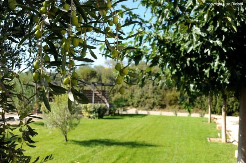 Les Hotes De La Combe Mouis Creissan Bagian luar foto